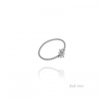 Anillo Rosa de los Vientos
