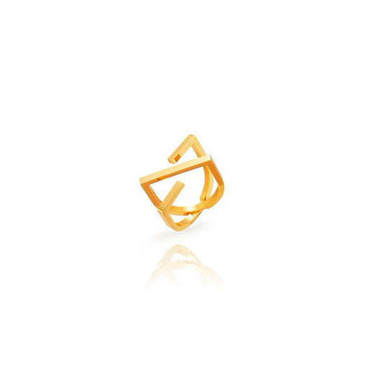 Anillo Doble