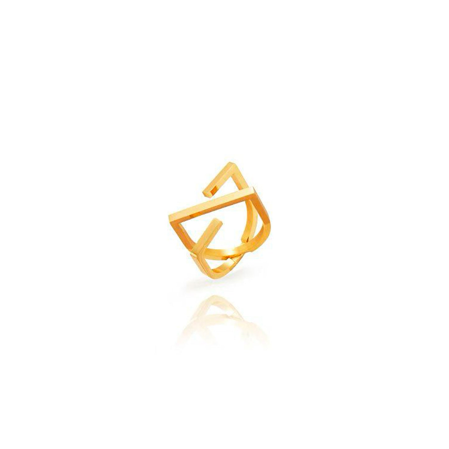 Anillo Doble